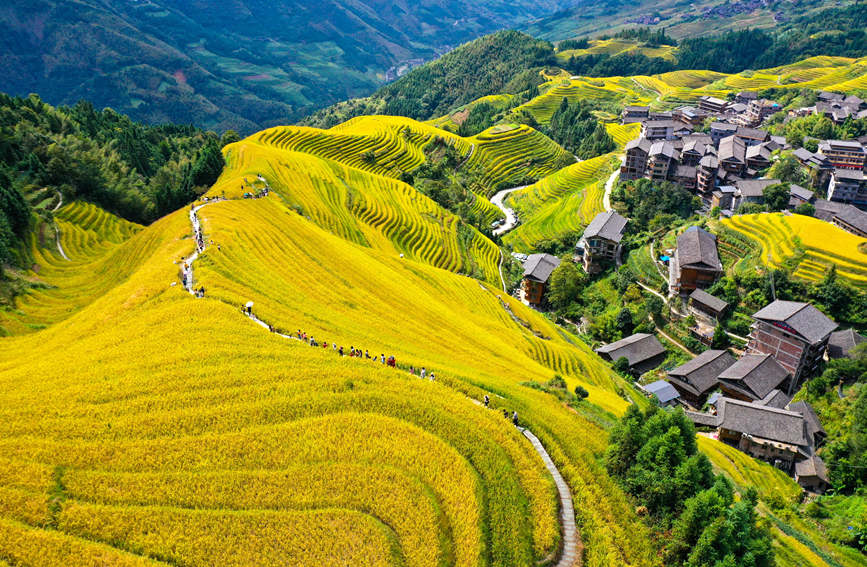 游客在景區(qū)觀光游覽。