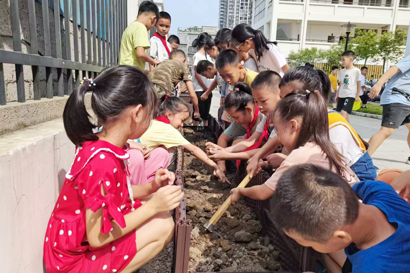 學生正在松土。學校供圖