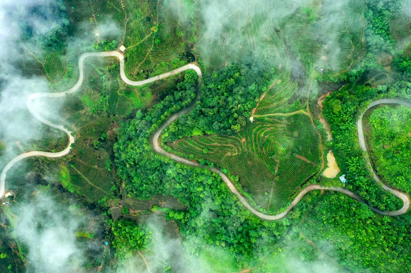 霧氣繚繞下，穿梭在千年茶香六堡鎮(zhèn)的公路，如舞動(dòng)的絲帶般充滿活力。