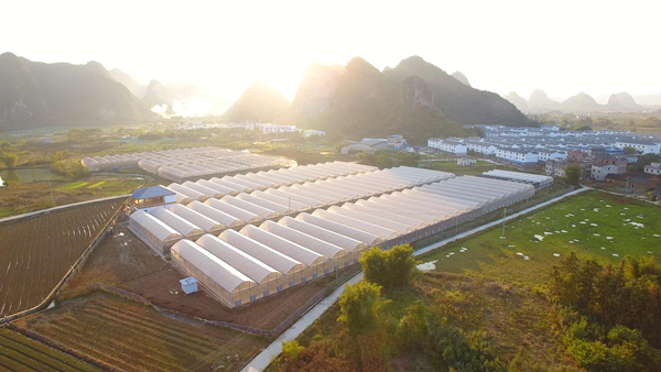 螺螄粉原材料科技示范基地。