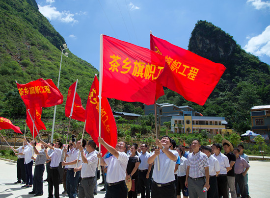 實(shí)施“茶鄉(xiāng)旗幟工程”為鄉(xiāng)村振興注入新動(dòng)力