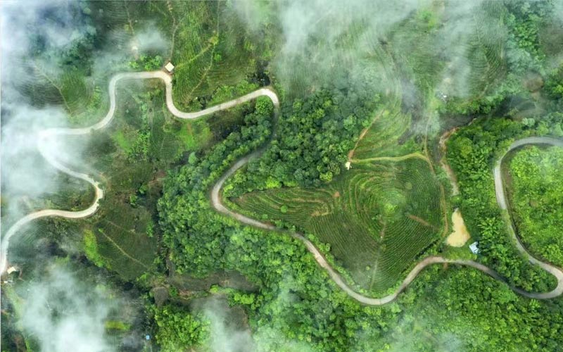 云霧繚繞的六堡鎮(zhèn)生態(tài)景觀   潘建川 攝