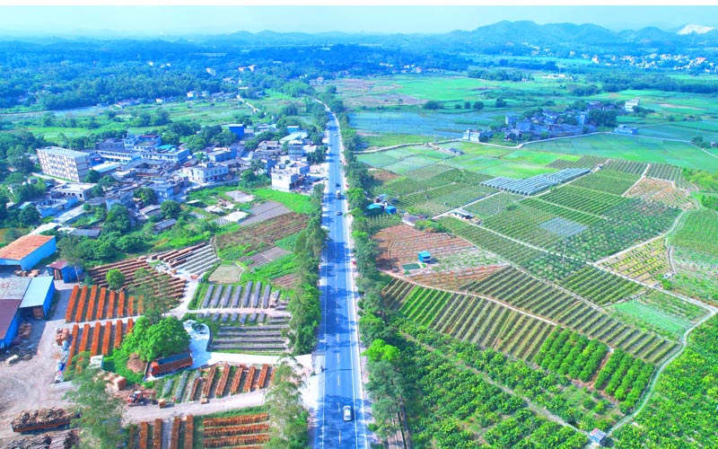 省道206線荔浦至廉江公路陸川縣大橋鎮(zhèn)三善村路段（彭希睦 攝）