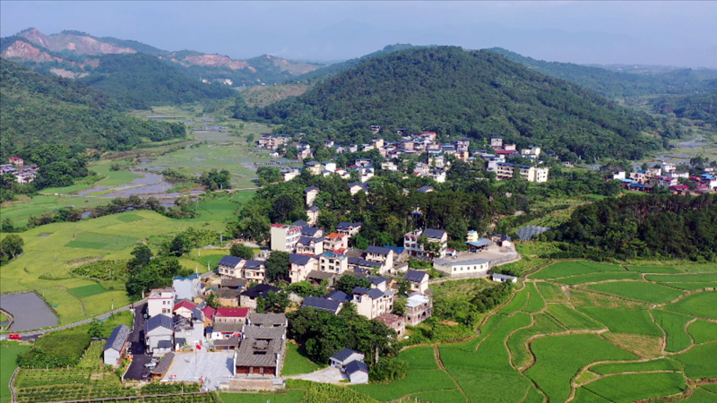 才灣鎮(zhèn)南一村航拍圖