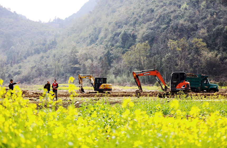 融安縣農(nóng)業(yè)農(nóng)村局技術(shù)人員正在指揮挖掘機進行土地平整。