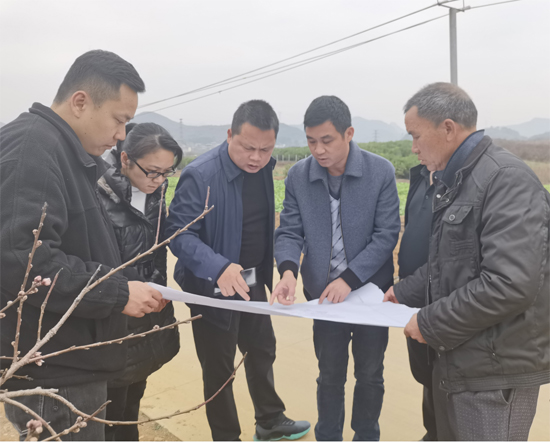 沙子鎮(zhèn)黨員干部一線研究對策推進項目建設。歐小芳-攝）.jpg