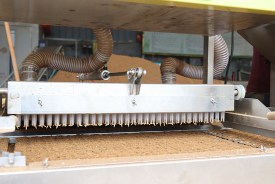 水稻精量育秧播種機(jī)在精準(zhǔn)育秧播種。興安縣崔家鄉(xiāng)人民政府供圖