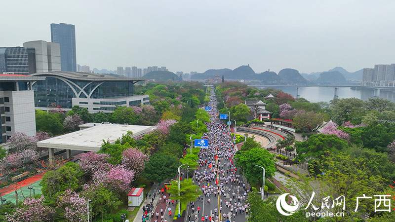 馬拉松大軍在紫荊花賽道中奔跑。人民網(wǎng) 付華周攝