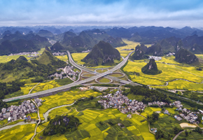 靖西秋景