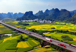 靖西化峒秋景