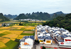 靖西市化峒鎮(zhèn)三友村隆屯新風貌