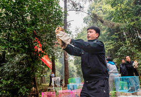 民警放飛救助的國(guó)家重點(diǎn)保護(hù)動(dòng)物。