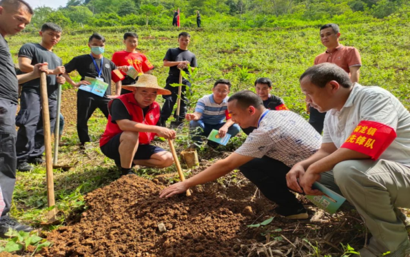 伍章余（前排右二）指導村民種植堅果。許倩攝