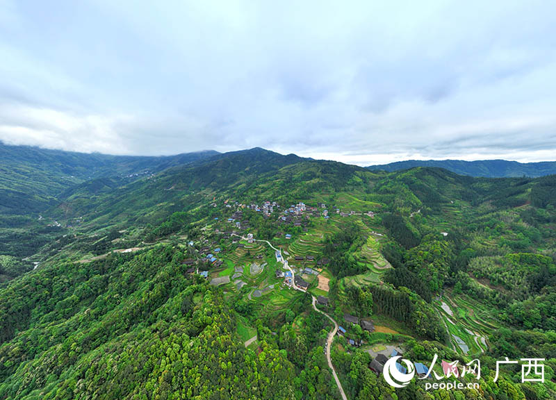 位于融水大苗山深處的大新村。人民網(wǎng) 付華周攝
