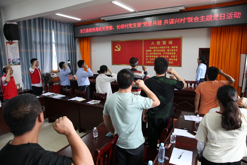東蘭縣稅務(wù)局黨員與長(zhǎng)峒村黨員重溫入黨誓詞。陳惠芳攝