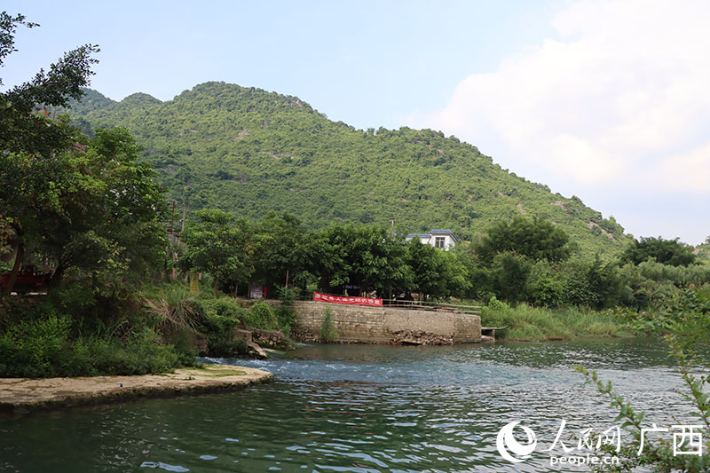 中渡鎮(zhèn)響水瀑布附近濕地。人民網(wǎng) 付華周攝