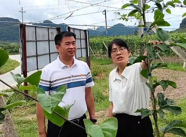 兩地開展農業(yè)種植產業(yè)交流
