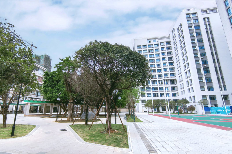 康復(fù)大院。醫(yī)院供圖
