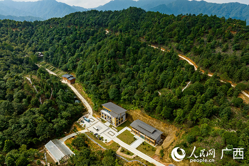 盛夏的金秀香草嶺瑤藥標準化種植基地。人民網(wǎng) 覃心攝
