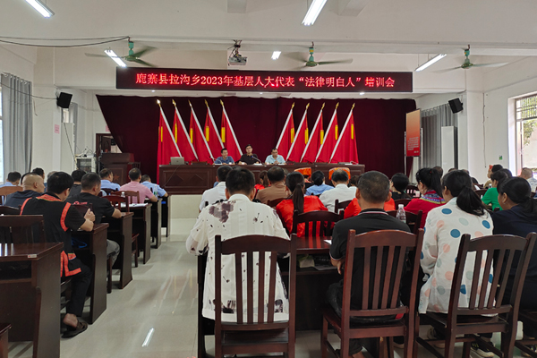 拉溝鄉(xiāng)人大開展基層人大代表“法律明白人”培訓會