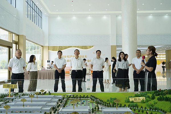 調研組到粵桂協(xié)作廣西忻城繭絲綢產業(yè)園調研