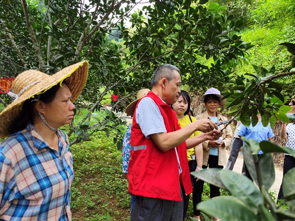 種植培訓(xùn)現(xiàn)場