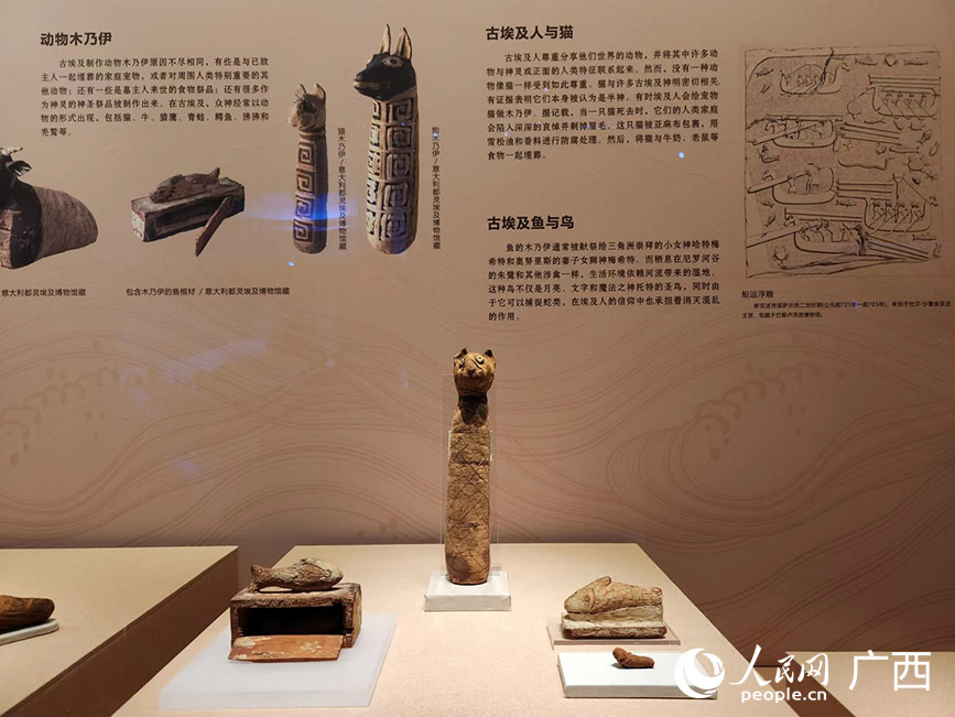 展覽展出的文物。人民網(wǎng)記者 黃子婧攝