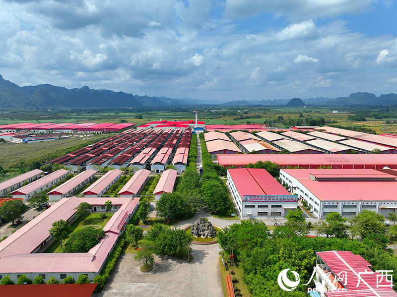 廣西龍州北部灣公司廠區(qū)。人民網(wǎng) 付華周攝.jpg
