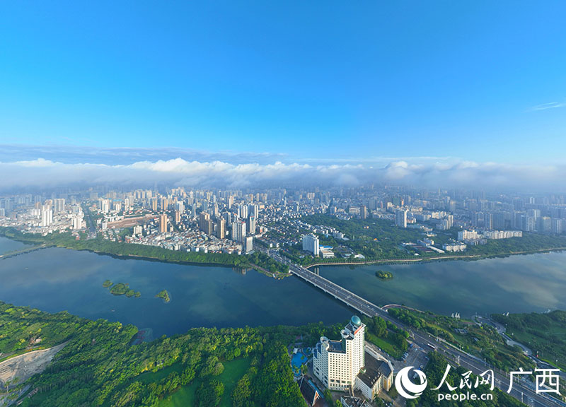 綠城南寧。人民網(wǎng) 付華周攝