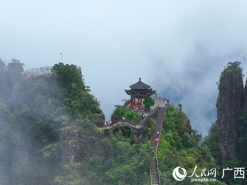 游客在平南北帝山打卡觀光。人民網(wǎng) 付華周攝