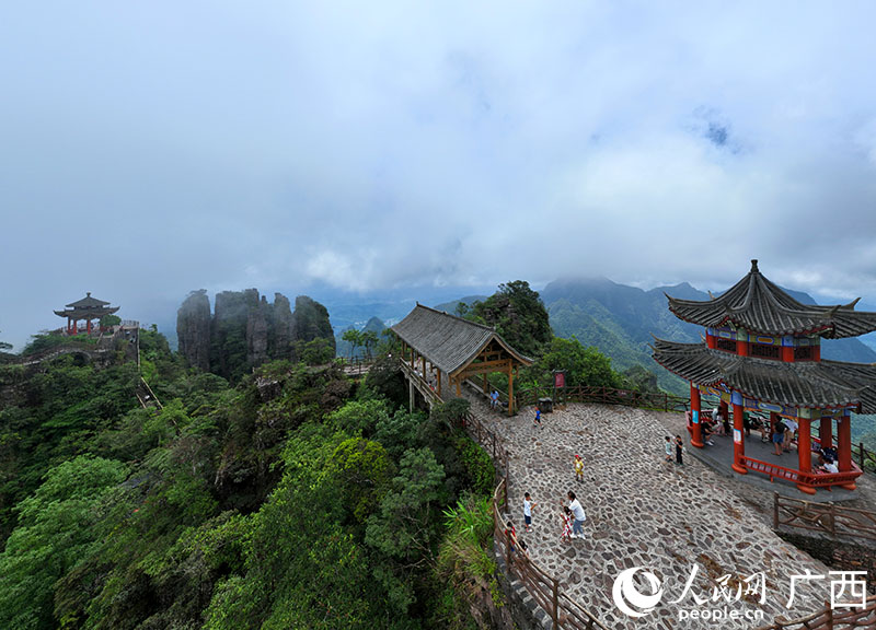 游客在平南北帝山打卡觀光。人民網(wǎng) 付華周攝
