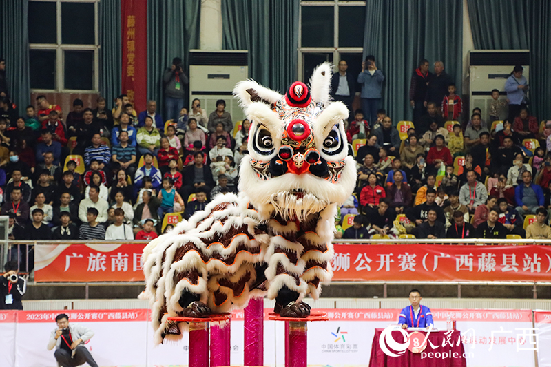 “醒獅”翹首仰望。人民網(wǎng) 何寧攝