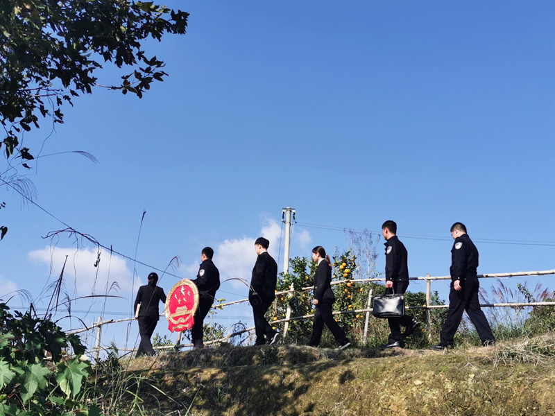 金桔園里的“流動法庭”。融安縣法院供圖