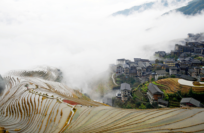 梯田云霧景觀