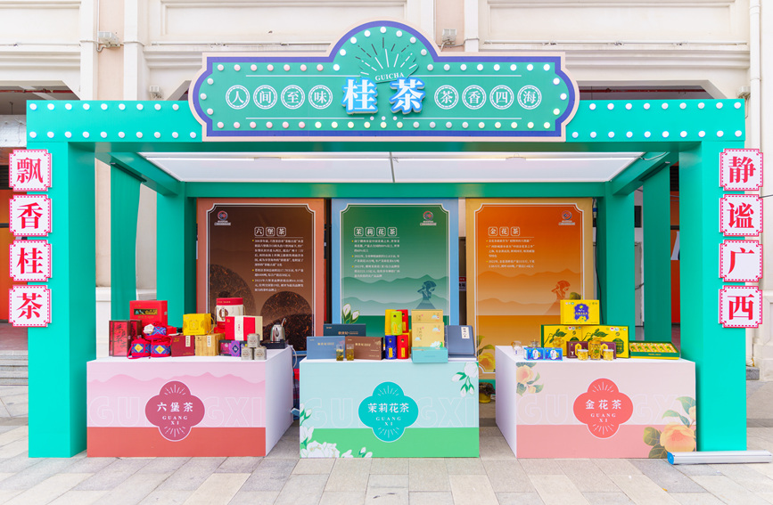 桂茶展示。