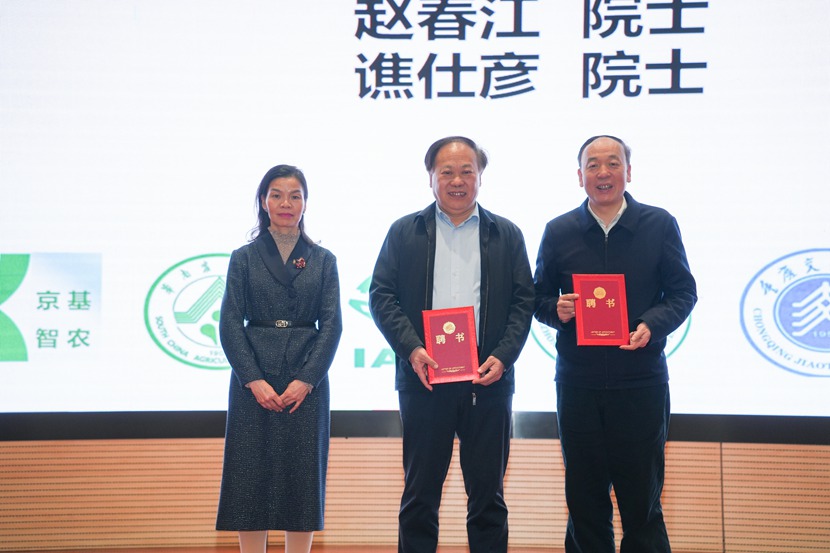 4、專項特聘指導專家