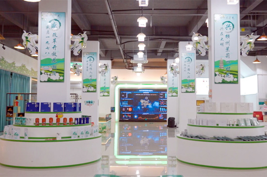 橫州市電子商務(wù)產(chǎn)業(yè)園孵化中心里的各類電商產(chǎn)品。唐銘敏攝