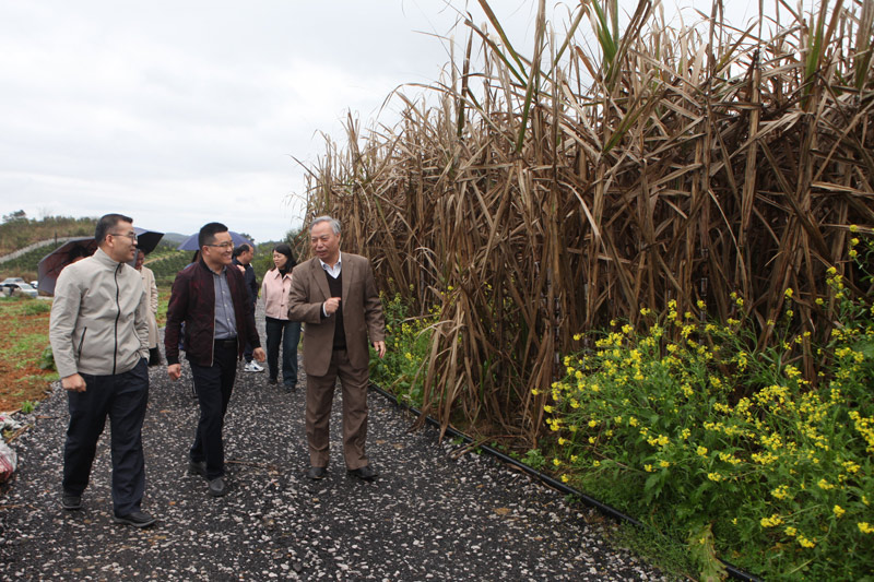 調(diào)研現(xiàn)場