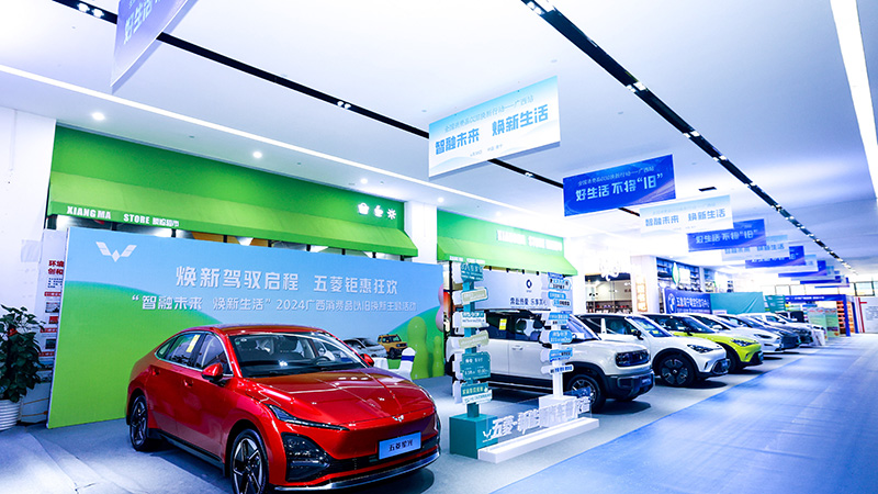 汽車(chē)展示。主辦方供圖