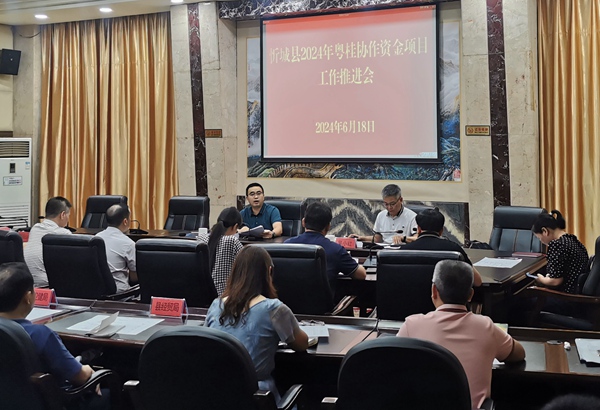 圖為唐林在2024年粵桂協(xié)作資金項目工作推進會上協(xié)調(diào)解決存在的困難