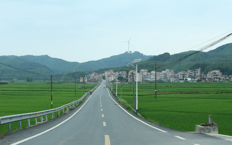 龍口村村容村貌，林運芳攝 (3)