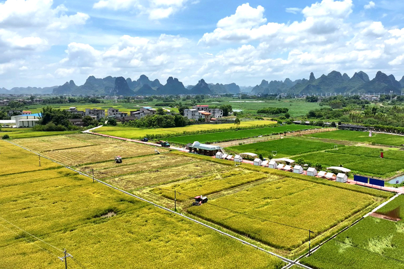 航拍“一都米”溯源種植基地。