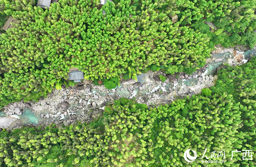 貓兒山漓江源大峽谷。人民網(wǎng) 付華周攝
