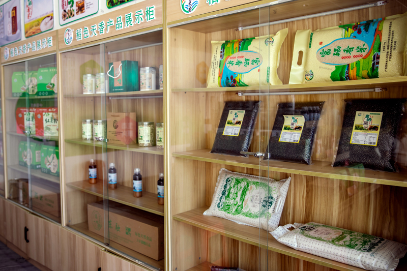 八步區(qū)鋪門鎮(zhèn)笛口村富曬黑米。