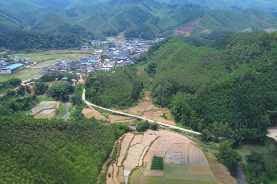 鎮(zhèn)龍山山勢盤虬起伏，一條平整的公路向著遠(yuǎn)方的群山蜿蜒而去。
