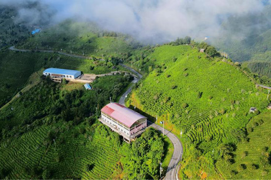 龍云山故事小鎮(zhèn)景區(qū)。何善權(quán)攝
