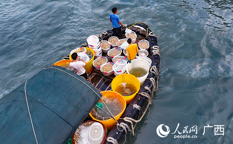 漁民滿載漁獲而歸。人民網(wǎng) 雷琦竣攝