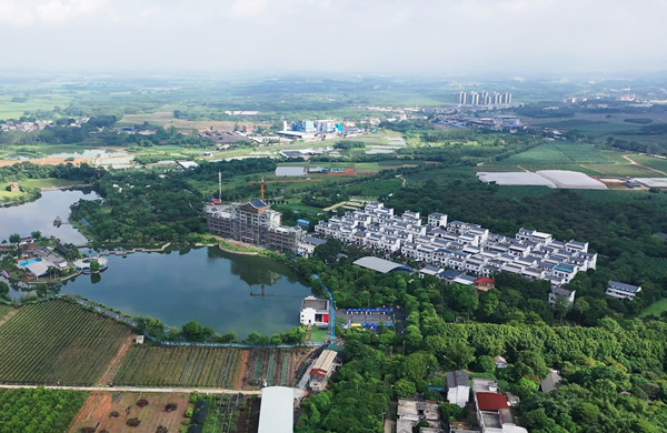 位于隆安縣那桐鎮(zhèn)定江村定典屯的自治區(qū)五星級鄉(xiāng)村旅游區(qū)——金穗生態(tài)園