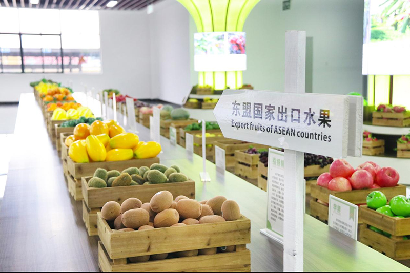 中國—東盟（崇左）水果交易中心展示的進口水果。廣西商務(wù)廳供圖