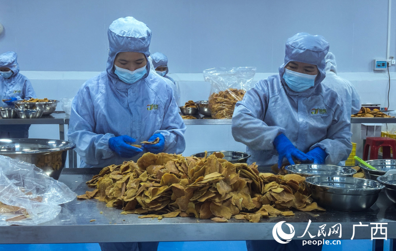 工人對芒果干進行加工。人民網(wǎng) 何寧攝